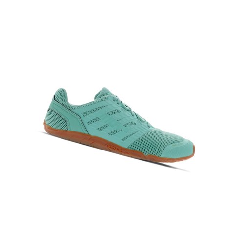 Chaussures D'entraînement Croisé Inov-8 Bare-xf 210 V3 Femme Vert | 6983-RUYCO