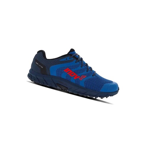 Chaussures De Course Ultra Inov-8 Parkclaw 260 Knit Homme Violette Bleu | 9370-BPUOS