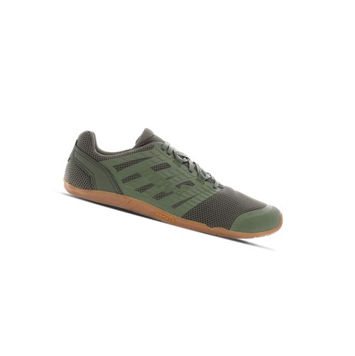 Chaussures Polyvalentes Inov-8 Bare-xf 210 V3 Homme Vert Olive | 0673-AMIQS