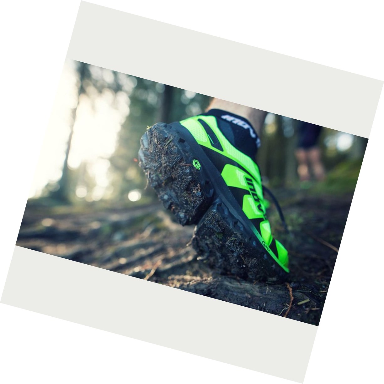 Chaussures De Course Ultra Inov-8 Trailfly Ultra G 300 Max Homme Vert Grise | 2518-GQARE